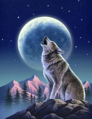 Волк и луна (Много фото!) - 
