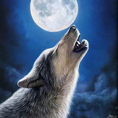 Алмазная вышивка " Волк, воющий на луну", 50 x 40 см. Квадратные стразы  (ID#1518874488), цена: 500 ₴, купить на 