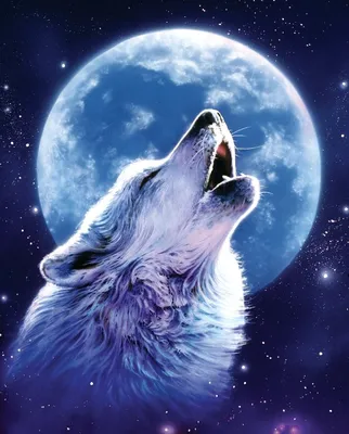 Волк воющий на луну рисунок - 74 фото