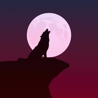 Волк воющий на луну обои. Обои волки | Wolf background, Fantasy wolf, Wolf  wallpaper