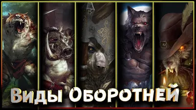 Фильм «Волки-оборотни» / Skinwalkers (2006) — трейлеры, дата выхода |  КГ-Портал