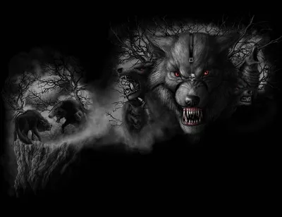 оборотни волки волк оборотень фото  #yandeximages | Werewolf,  Real werewolf, Vampires and werewolves