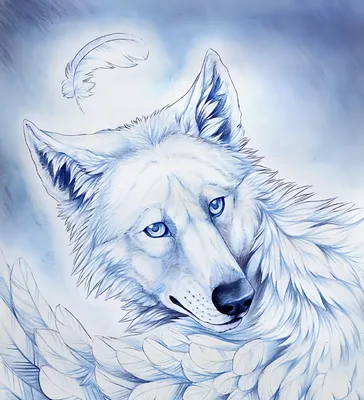 animal art :: красивые картинки :: живность :: волк :: wolf :: art (арт) /  картинки, гифки, прикольные комиксы, интересные статьи по теме.