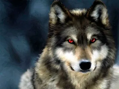 Обои на рабочий стол Красивый волк, by YukkaWerewolf, обои для рабочего  стола, скачать обои, обои бесплатно