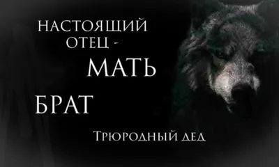 Волк прыгает через забор, пацанские …» — создано в Шедевруме