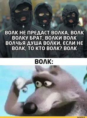 Наклейка на запаску "Волк с волчицей"