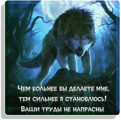 Футболка JHPKJI с надписью «просто как волки», стиль «ОК», Мягкая стильная  футболка, черная Хлопковая мужская футболка премиум класса с коротким  рукавом и круглым вырезом | AliExpress