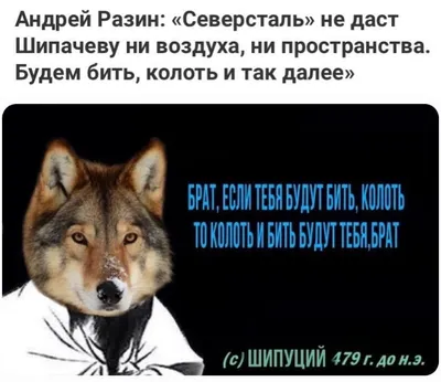 Волчьи цитаты от Александра Волкановски - YouTube