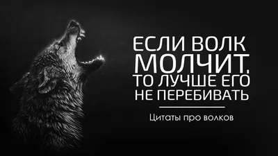 Кружка, Волк, пацанские цитаты, ауф, Я бы жил по понятиям, но живу как  понял - 2 by Anna Dantser, 330мл | AliExpress