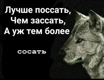 Законы волка. Мы спрятали научные данные под суровые цитаты с суровыми  животными