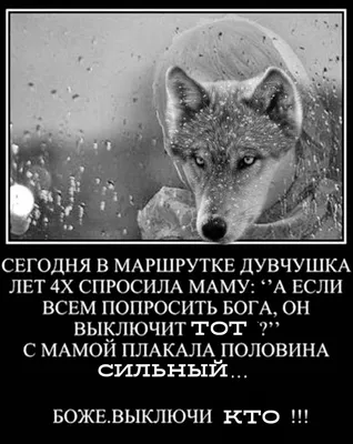 Волк: цитаты, которые вы не знали» — создано в Шедевруме