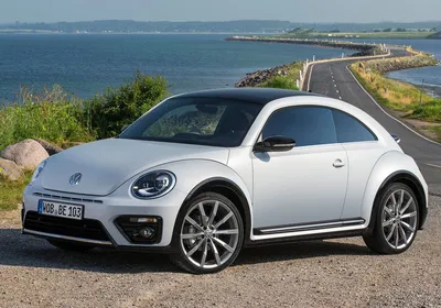 Volkswagen Beetle Review 2024 | Top Gear