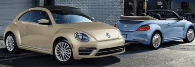 The 2019 Volkswagen Beetle: Everything You Need to Know