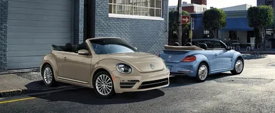 Get Insurance for Your Classic VW Beetle | American Collectors Insurance