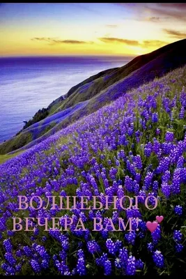 Волшебного вечера! | Закаты, Природа, Открытки