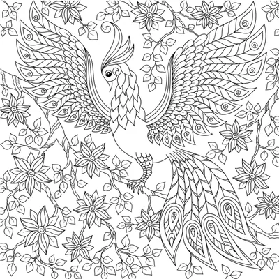 Набор для творчества скретч-арт Avenir Волшебные птицы (CH221569) купить в  Киеве, Украине | MAUDAU: цена, отзывы, характеристики