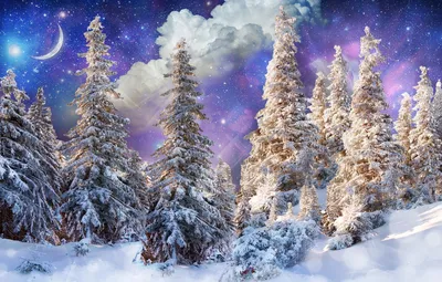 Волшебный зимний лес. Фотограф Смольский Евгений