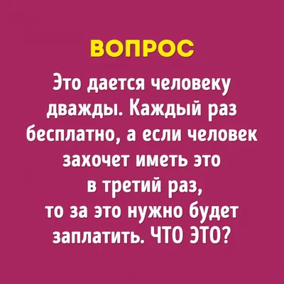 20+ простых вопросов, на которые знатоки «Что? Где? Когда?» не нашли ответ.  А вы справитесь / AdMe