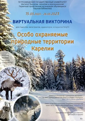 Викторина 500 вопросов «Думай и зарабатывай» в Бишкеке купить по ☝доступной  цене в Кыргызстане ▶️ 