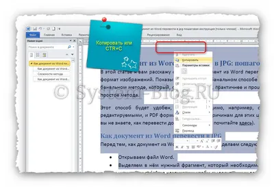 Как конвертировать Excel в Word: 15 шагов