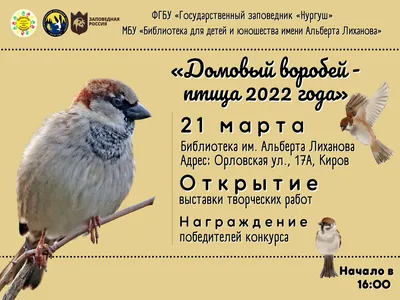 Детские осенние поделки воробей Осень детское творчество пластилинография  для детей | Craft activities for toddlers, Crafts for kids, Arts and crafts  for kids