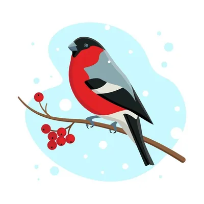 клипарт птица PNG рисунок, картинки и пнг прозрачный для бесплатной  загрузки | Pngtree