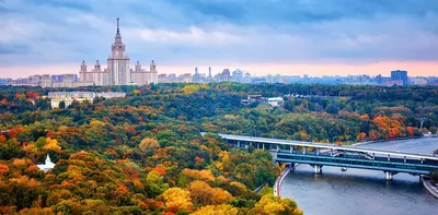 Воробьевы горы 💥: где находятся, что посмотреть, где погулять, фото,  адрес, режим работы и описание — 