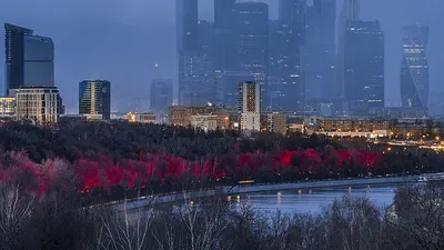 Станция метро: «Воробьёвы горы», «Нахимовский проспект», «Тушино». - услуги  компании GLIMS в Москве