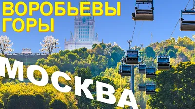 Москва | Карты | Деление района Воробьевы горы