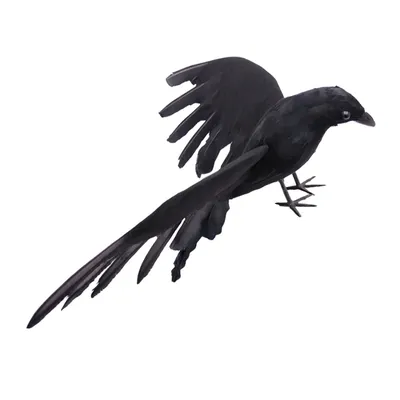 Имитация Черной вороны, модель животного, искусственная ворона, черная  птица, Ворон, реалистичное украшение для дома, вечеринка, подарок для детей  на день рождения | AliExpress