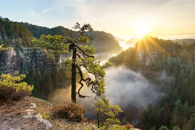 картинки : горизонт, гора, Восход, закат солнца, рассвет, вершина горы,  смеркаться, вечер, седло, Калабасас, Послесвечение, Атмосферное явление,  Горные рельефы, Красное небо утром 5358x2209 - - 155687 - красивые картинки  - PxHere