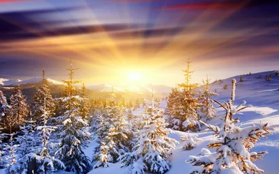 Заход солнца зимой | Nature, Natural landmarks, Outdoor