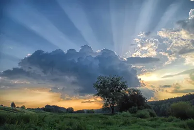 В лучах восходящего солнца. Beautiful…» — создано в Шедевруме