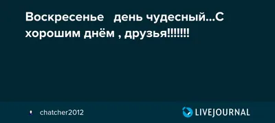 Открытки с воскресеньем прикольные с юмором и приколами