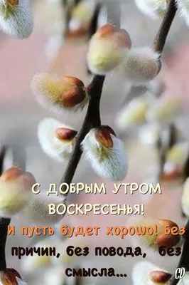 Пин от пользователя Светлана на доске Дни недели | Доброе утро,  Воскресенье, Христианские картинки