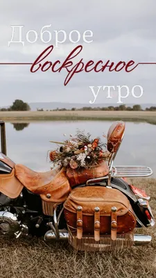 Доброго осеннего утра! Чудесного Воскресенья! | Доброе утро, Осень,  Воскресенье