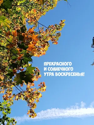 Осеннее воскресенье картинки - 58 фото