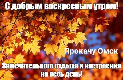 Прогноз погоды в Воронеже на воскресенье, 22 октября