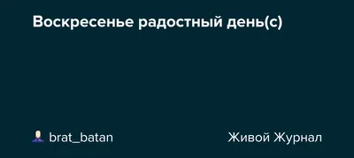 Вербное воскресенье 2021 — поздравления в прозе, открытки, стихи / NV