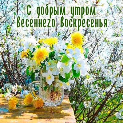 Доброе весеннее утро воскресенья! 🌸 | Открытки, Фиолетовая свадьба,  Воскресенье