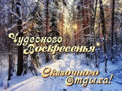 Ирина on X: "@Nika4_1206 Доброе утро, Ника 😉🤗😘😘😘☕☕✌🌹🌹🌹☃️  /Q8q4WJCFSw" / X