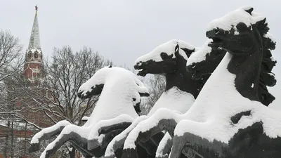 Зимнее воскресенье (Марина Докудовская) / Стихи.ру