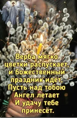 Поздравления с Вербным воскресеньем 2023 — лучшие открытки и картинки -  Телеграф