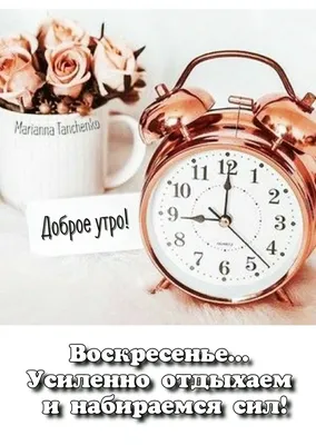 Идеи на тему «Воскресенье» (60) | воскресенье, доброе утро, утро воскресенья