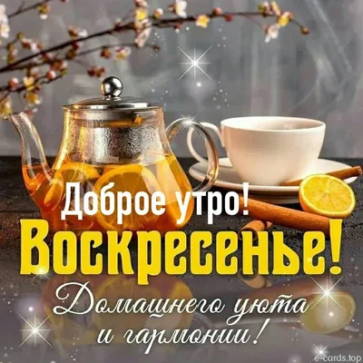 Комикс мем: "Доброе воскресное утро! Здравия вам и добра! Пусть Бог  благословит вас и всех, кого вы любите!" - Комиксы - 