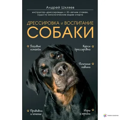 Гражданское и патриотическое воспитание – Управление по воспитательной  работе с молодежью – Белорусский национальный технический университет  (БНТУ/BNTU)