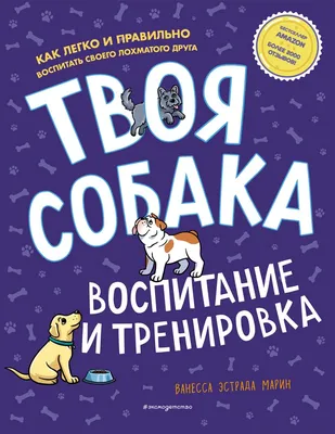 Позитивная психология: воспитание ребенка от 0 до 13 лет» Лариса Суркова -  купить книгу «Позитивная психология: воспитание ребенка от 0 до 13 лет» в  Минске — Издательство АСТ на 