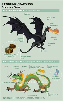 Как различать драконов Востока и Запада | РИА Новости Крым | Дзен