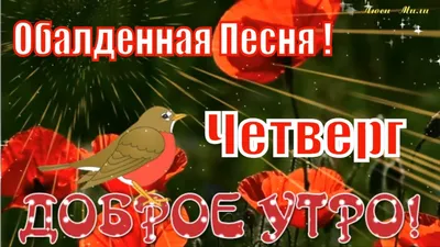 Доброго Утра Четверга Красивая Песня Пожелание С Добрым Утром Музыкальная  открытка УдачногоЧетверга - YouTube