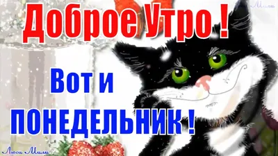 Фаберлік - Україна: С добрым утром! Вот выходные пролетели, В душе смятение  и бардак. Душа не хочет понедельник ник ... - UkrOpen